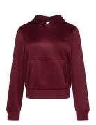 Ls High Shine French Terry Hoodi Burgundy Calvin Klein Jeans