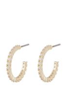 Envy Thin Oval Ear G/Clear - Gold SNÖ Of Sweden