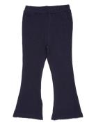 Flare Pants Navy Copenhagen Colors