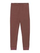 Leggings - Solid Brown CeLaVi