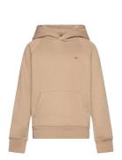Shield Hoodie Beige GANT