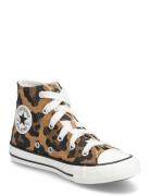 Chuck Taylor All Star Patterned Converse