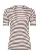 Srfenja Stripe Ss Top Brown Soft Rebels
