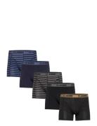 Claudio 5-Pack Tights Black Claudio