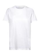 Venus Tshirt Organic Cotton White Naja Lauf