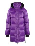 Melbourne Down Purple Urban Pi Ers