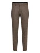 Tenutas Brown Tiger Of Sweden