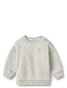 Sweatshirt L/S Willi Grey Wheat