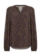 Sc-Aster Brown Soyaconcept