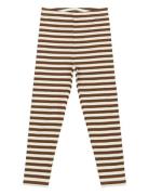 Tnstfro Rib Leggings Brown The New