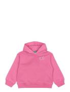 Tnstpinkie Os Hoodie Pink The New