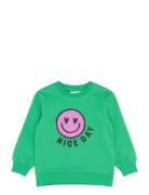 Tnstparlene Sweatshirt Green The New