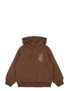 Tnstpetey Os Hoodie Brown The New
