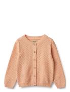 Knit Cardigan Magnella Pink Wheat