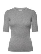Kaiben T-Shirt Grey Kaffe