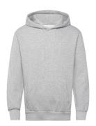 Sweat Hoodie Grey Shine Original