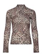 Dardonnay Brown HUGO