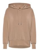 C_Efelpa1 Beige BOSS