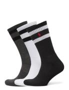 Athletic Crew Sock 3-Pack Patterned Polo Ralph Lauren
