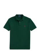 Basic Mesh-Ssl-Knt Green Polo Ralph Lauren