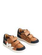 Sneaker Walther Brown Wheat
