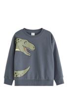 Sweatshirt Dino Placement Grey Lindex