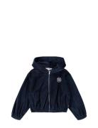 Madeleine Navy Molo