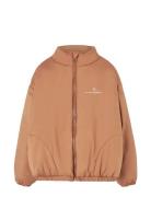 Crocodile Kid Puffer Jacket Almond Brown Brown THE ANIMALS OBSERVATORY