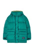 Lemur Kid Puffer Jacket Green Green THE ANIMALS OBSERVATORY