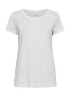 Mmarden Organic O-Ss Tee White MOS MOSH