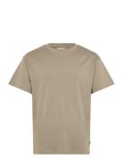 Sddanton Beige Solid