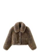 Faux-Fur Cropped Jacket Brown Mango