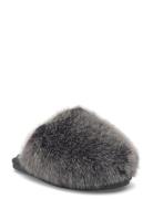 Poof Grey Steve Madden