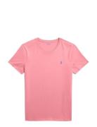 26/1 Jersey-Ssl-Tsh Pink Polo Ralph Lauren