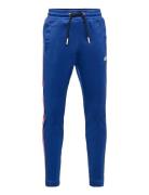 Pyegox Trousers Blue Diesel