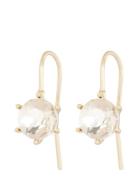 Noctelle Crystal Hook Ear G/Clear - Gold SNÖ Of Sweden