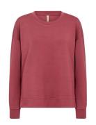 Sc-Banu Burgundy Soyaconcept