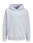 Jjcollege Logo Sweat Hood Jnr Grey Jack & J S