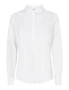 Sc-Netti White Soyaconcept