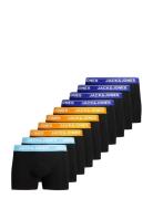 Jactheodore Solid Trunks 10 Pack Black Jack & J S
