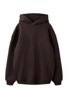 Nlnrenar Ls Bru Loose Sweat W. Hood Brown LMTD