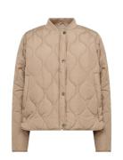 Sc-Fenya Beige Soyaconcept