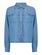 Sc-Liv Blue Soyaconcept