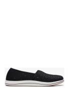 Brinkley Emily D Black Clarks