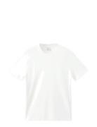 Medium Weight Regular Fit T-Shirt White Mango