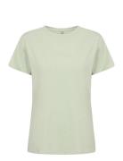 Sc-Derby Green Soyaconcept