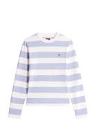 Tjw Reg S Flag Jersey Ls Tee Ext Patterned Tommy Jeans
