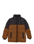 Jr. Jacket - Box & Quilt Brown Color Kids