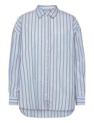 Ihfluca Sh2 Blue ICHI