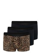 Koglola 3-Pack Logo Hipster Acc Black Kids Only